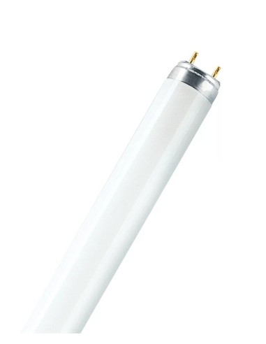 Osram Lumilux L Tubo T8 150cm 58W 830 G13