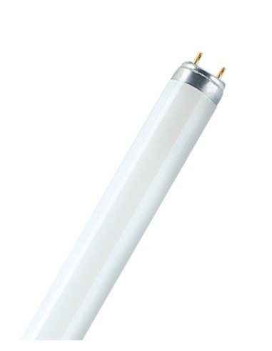 OSRAM TUBO LED 1,5M 19,1W 4000K G13