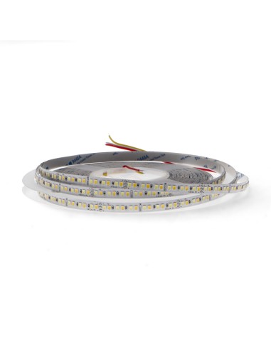 LM2474 Tira de led 10 metros para interior (ip20) ) 24V color CCT