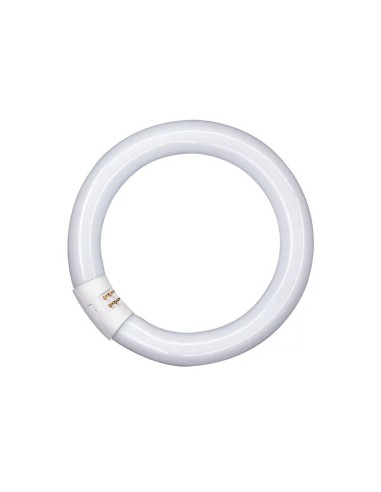 Osram tubo t9 circular 22w 840 G10q